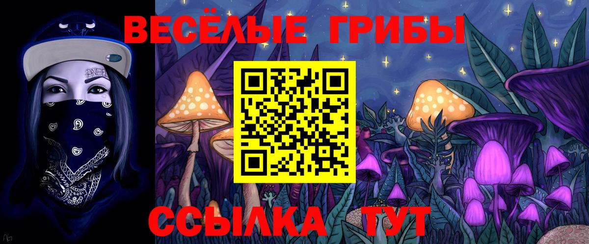 Карачаевск  Галлюциногенные грибы прущие грибы  Вход с VPN 