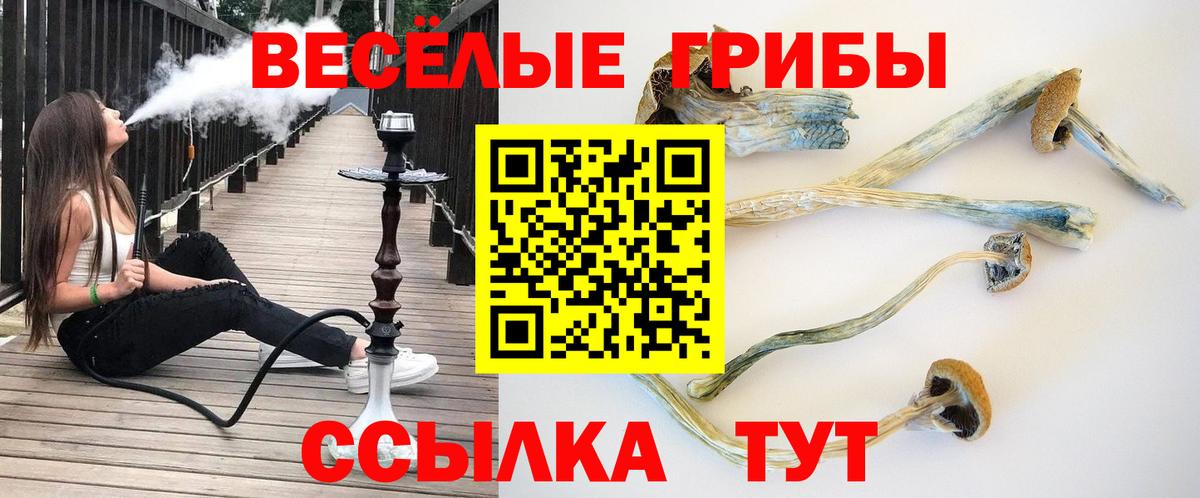 Галлюциногенные грибы мицелий Карачаевск