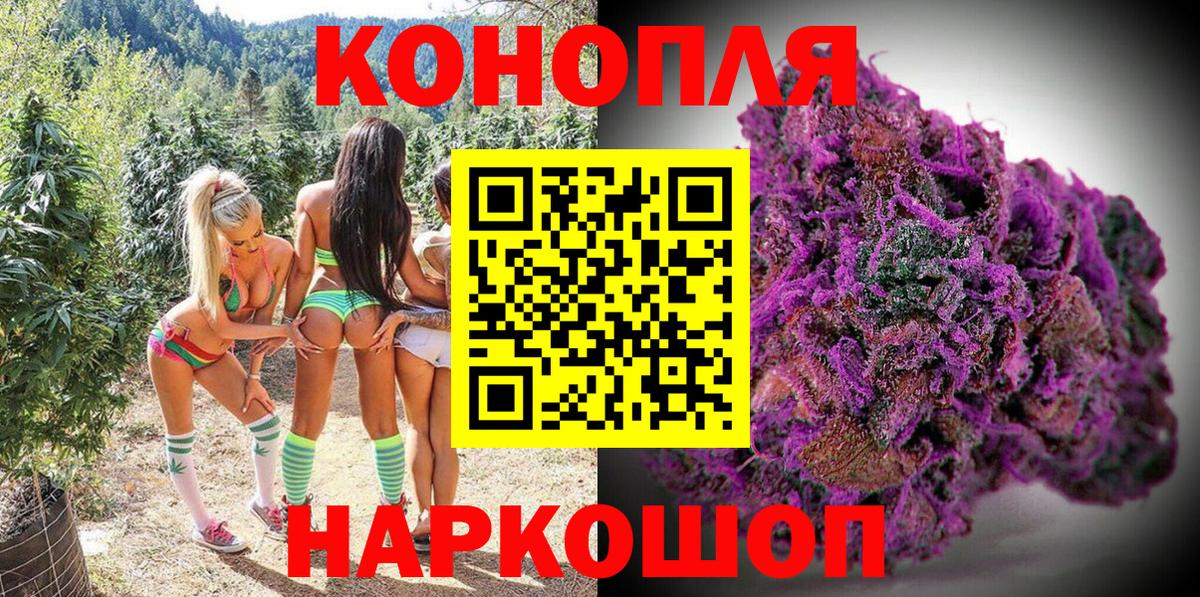 Карачаевск  Конопля Bruce Banner  Шишки марихуана OG Kush  Вход с VPN 